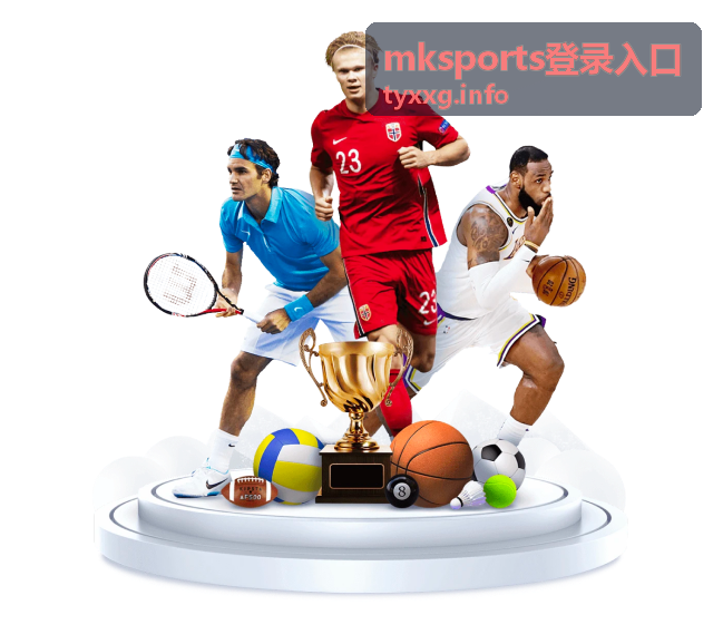 mksports登录入口帮助与常见问题页面示意图