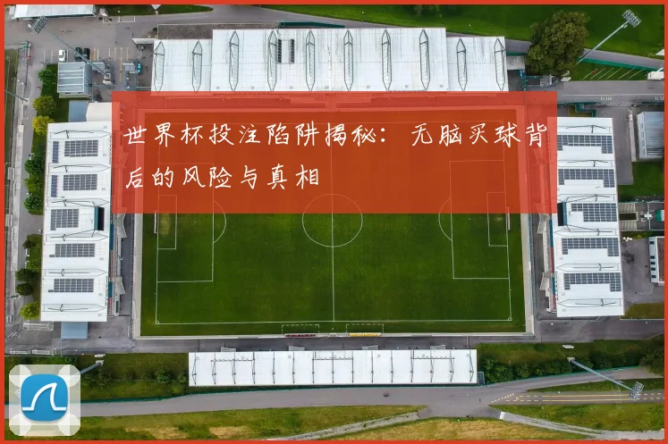 世界杯投注陷阱揭秘:无脑买球背后的风险与真相