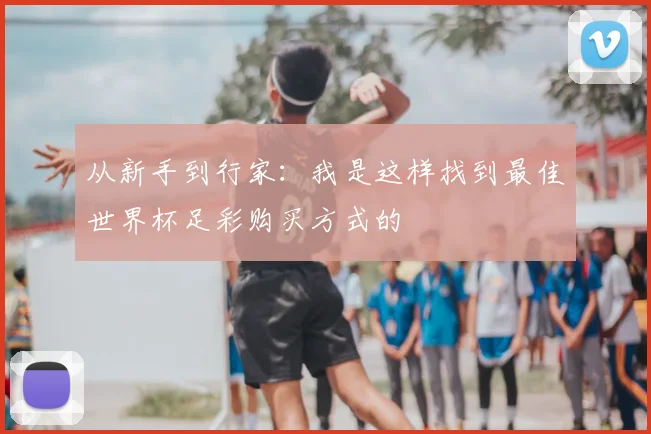 从新手到行家：我是这样找到最佳世界杯足彩购买方式的