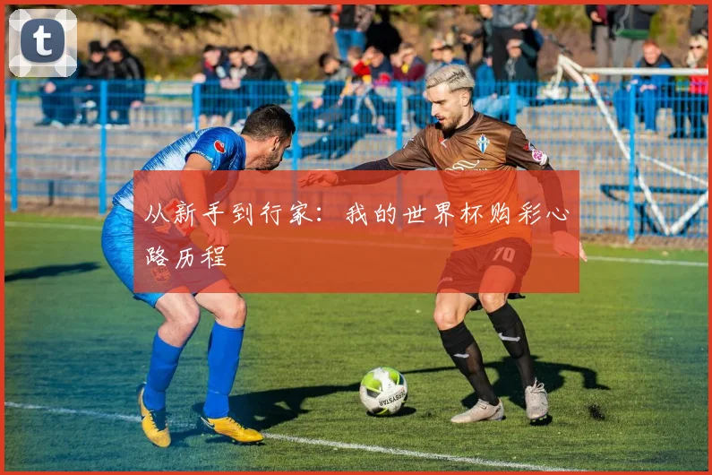 从新手到行家：我的世界杯购彩心路历程