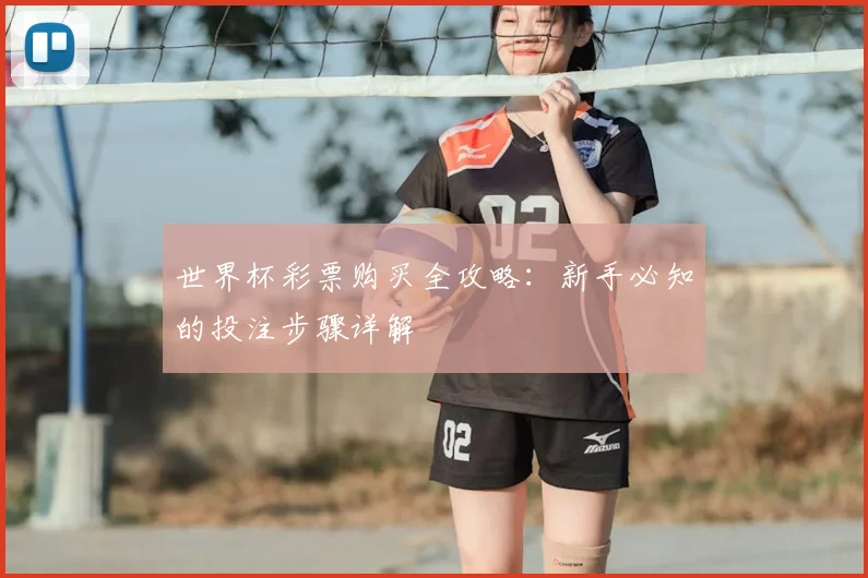 世界杯彩票购买全攻略：新手必知的投注步骤详解