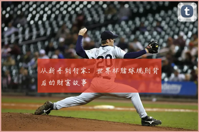 从新手到行家：世界杯赌球规则背后的财富故事