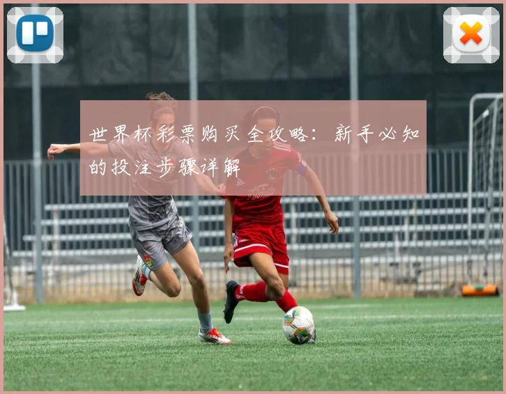 世界杯彩票购买全攻略：新手必知的投注步骤详解