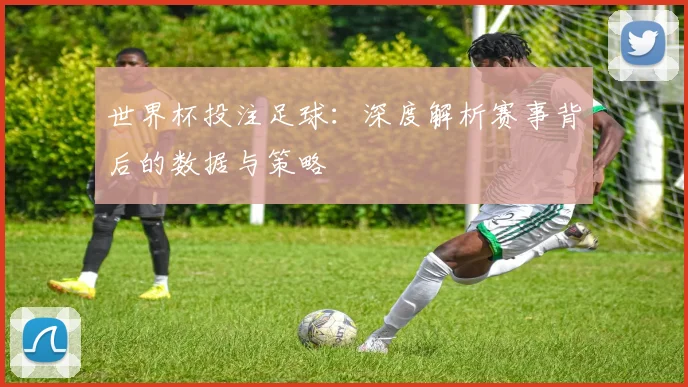 世界杯投注足球:深度解析赛事背后的数据与策略